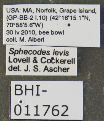 Media type: image;   Entomology 610765 Aspect: labels